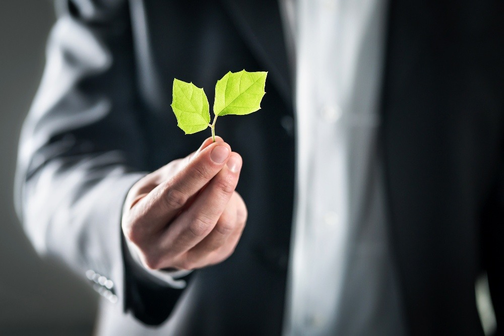 DK_webinar om ESG-1
